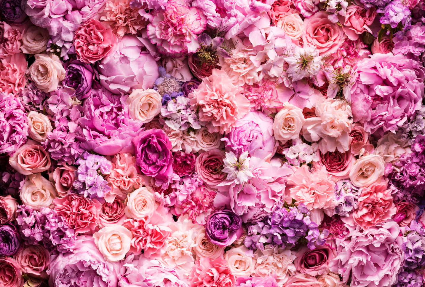 Alluring flowers Alluring flowers