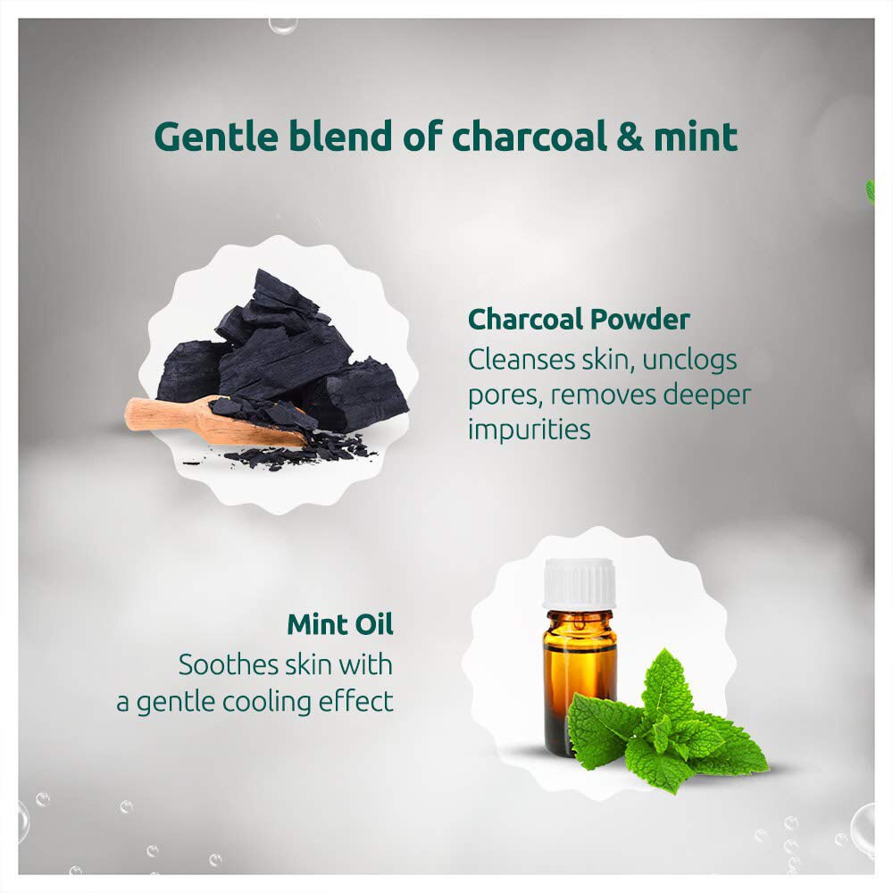 ingredients charcoal & mint ingredients charcoal & mint